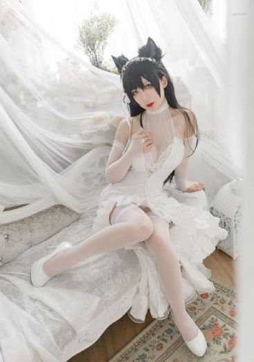 猎狼人电视剧全集免费观看完整版