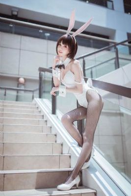 动漫一起相嗟嗟嗟免费观看