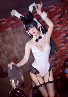观鸟大年