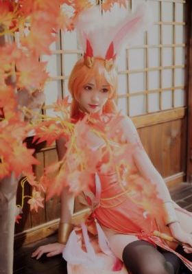 珠帘玉幕电视剧在线免费观看