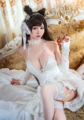 旋风少女第一季免费观看电视剧