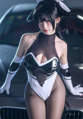 无耻之徒第五季完整版